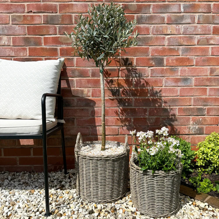 Polyrattan Natural Lined Planters - Set of Two
