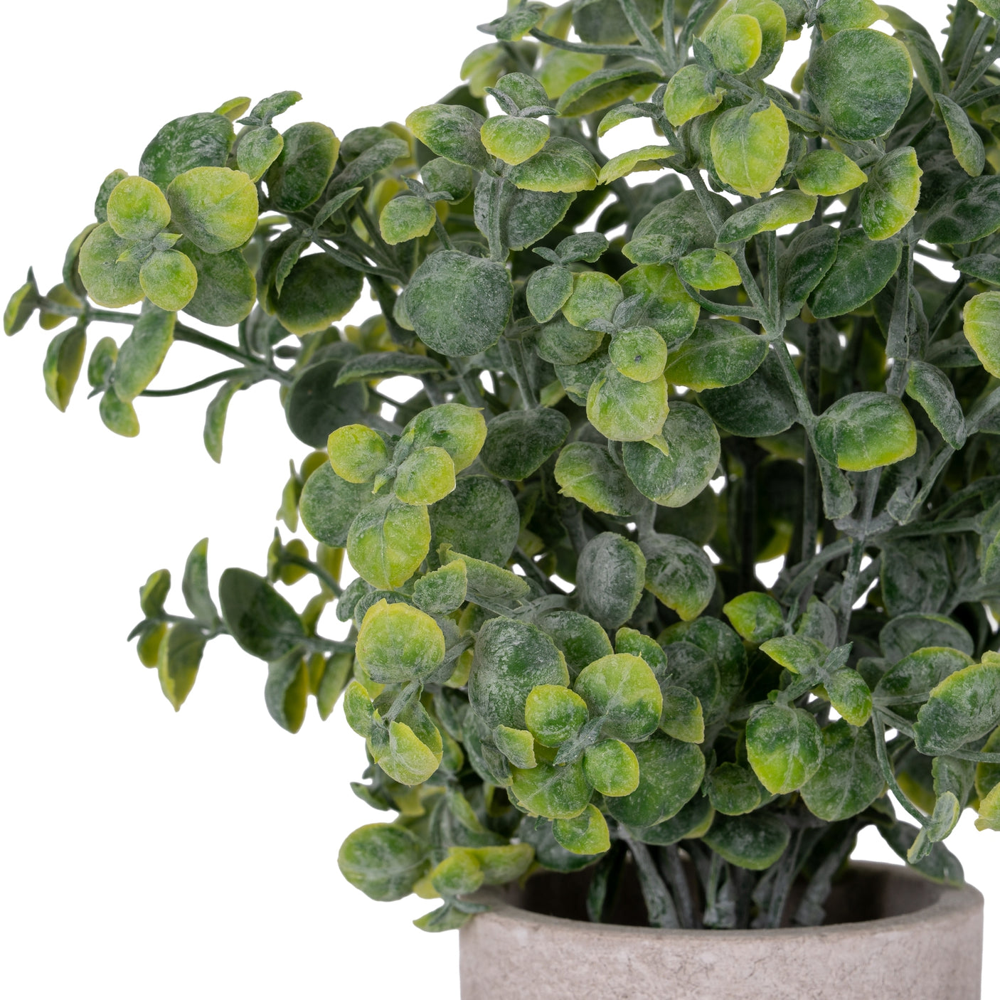 Artificial Eucalyptus Plant In Stone Effect Pot