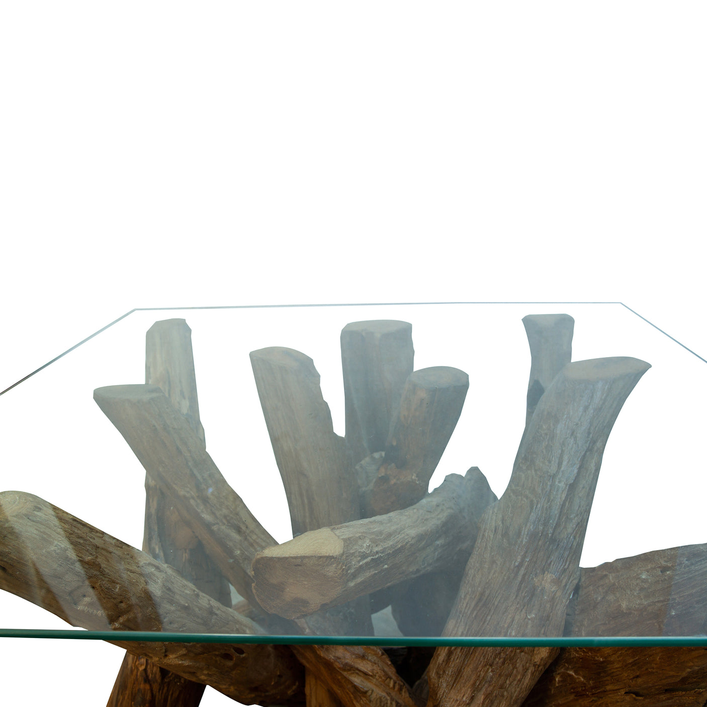 Glass topped lamp table with teak tree root base on a white background