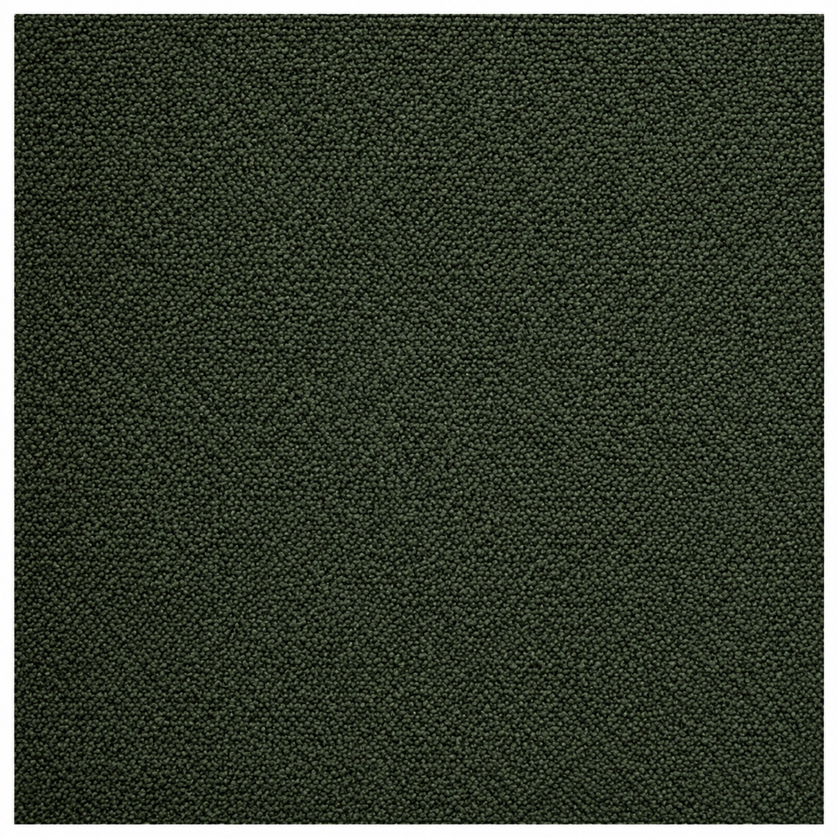 A square close-up of a dark olive green textured fabric or carpet material, framed by a thin white border.