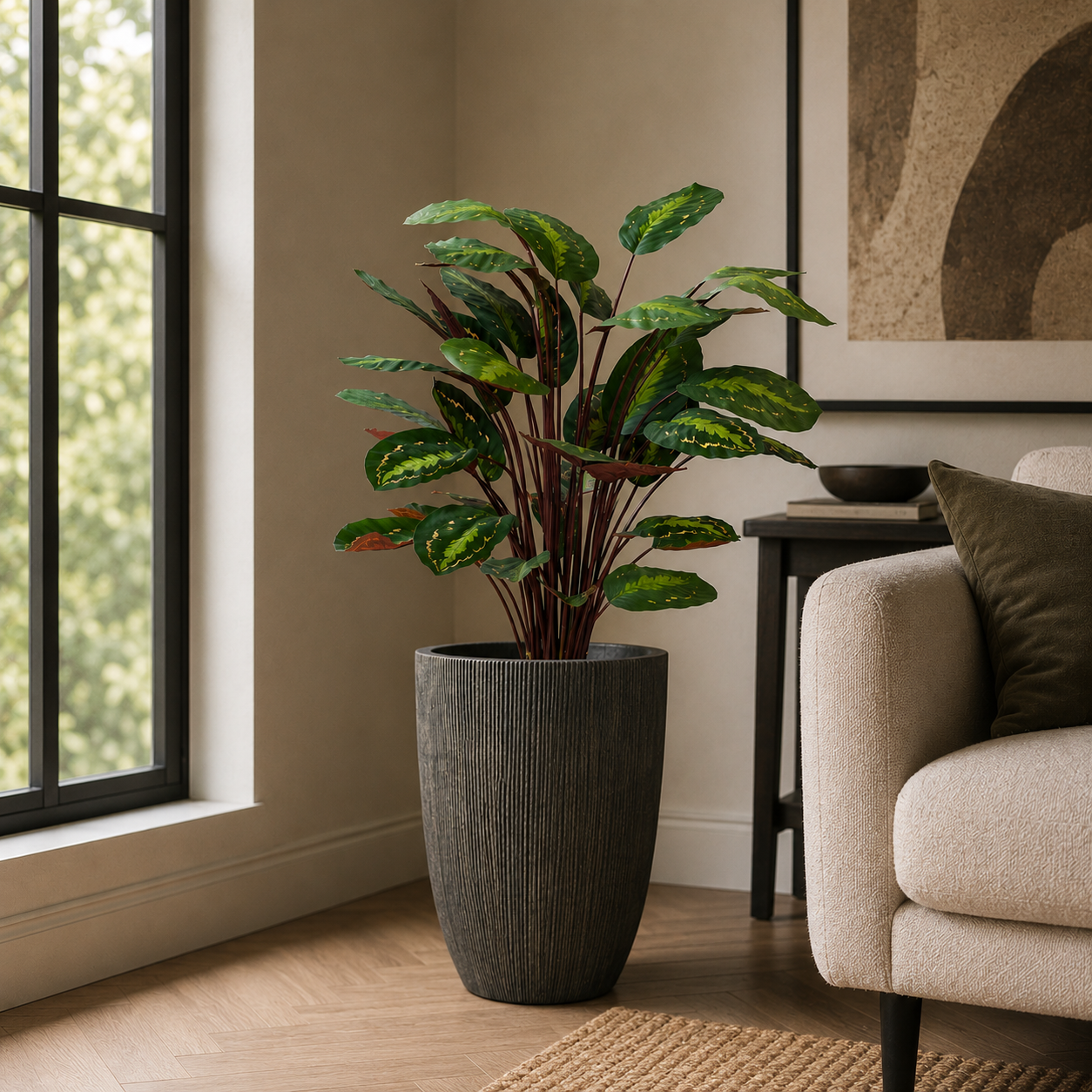 Potted calathea plant in a living room with a couch and window