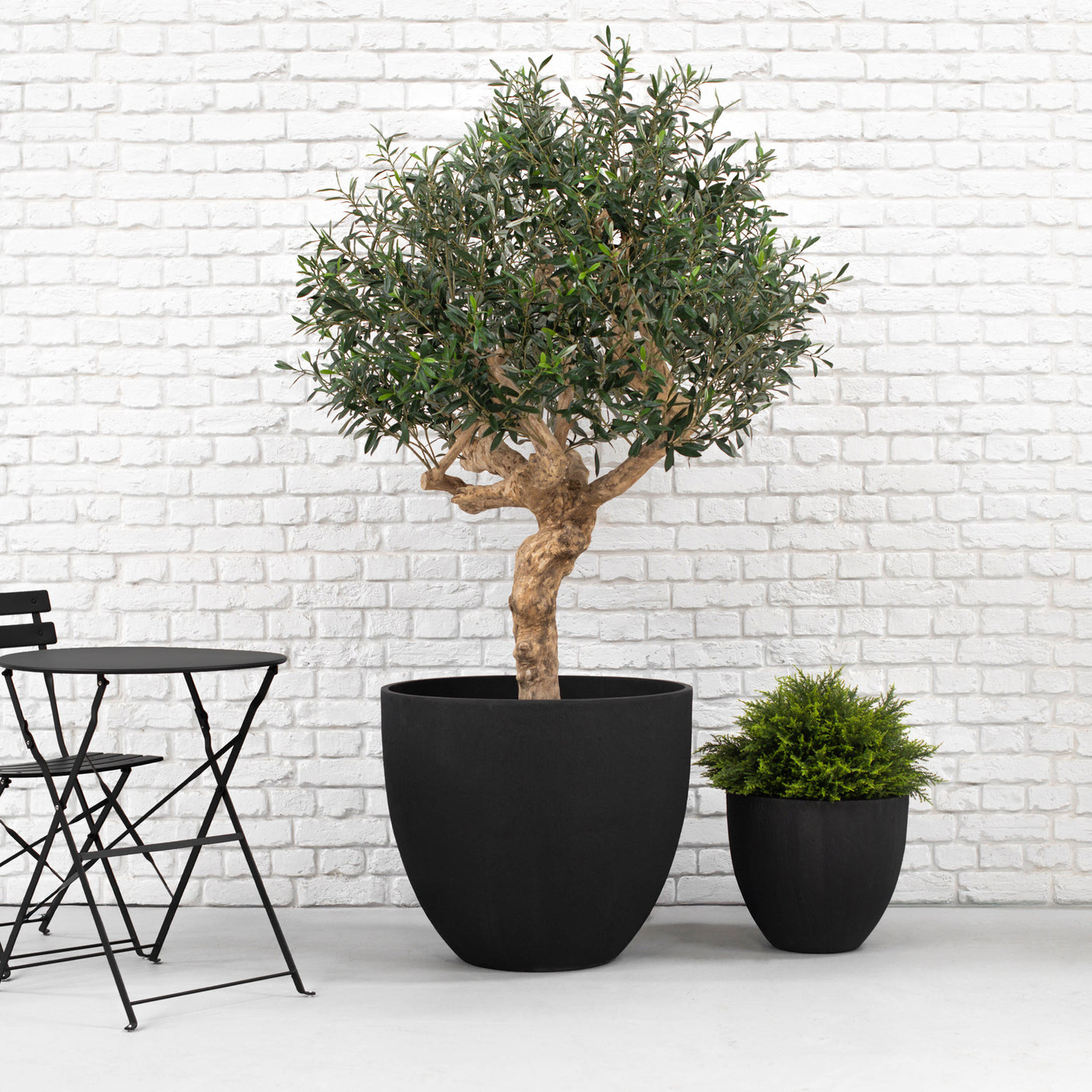 Two potted plants in black pots against a white brick wall with a black metal table.