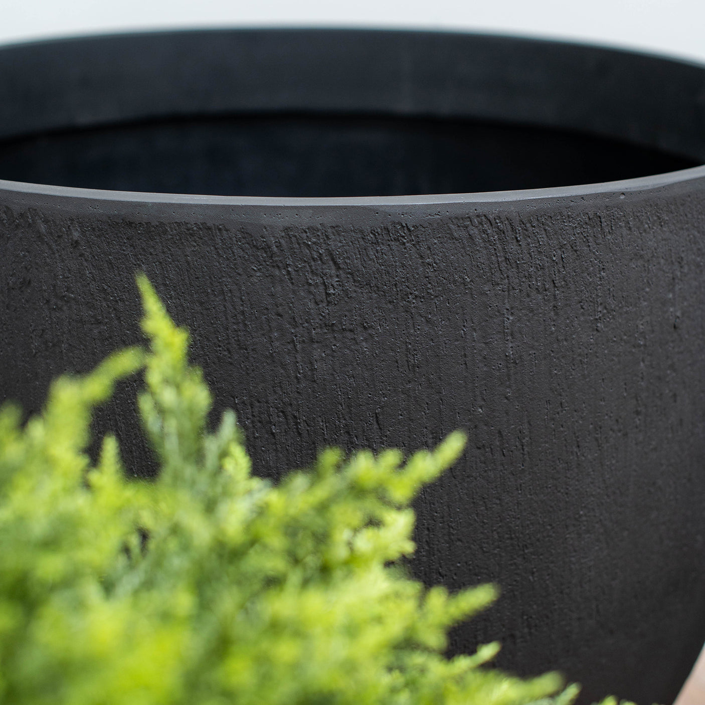 Close-up of a black planter with greenery in the foreground