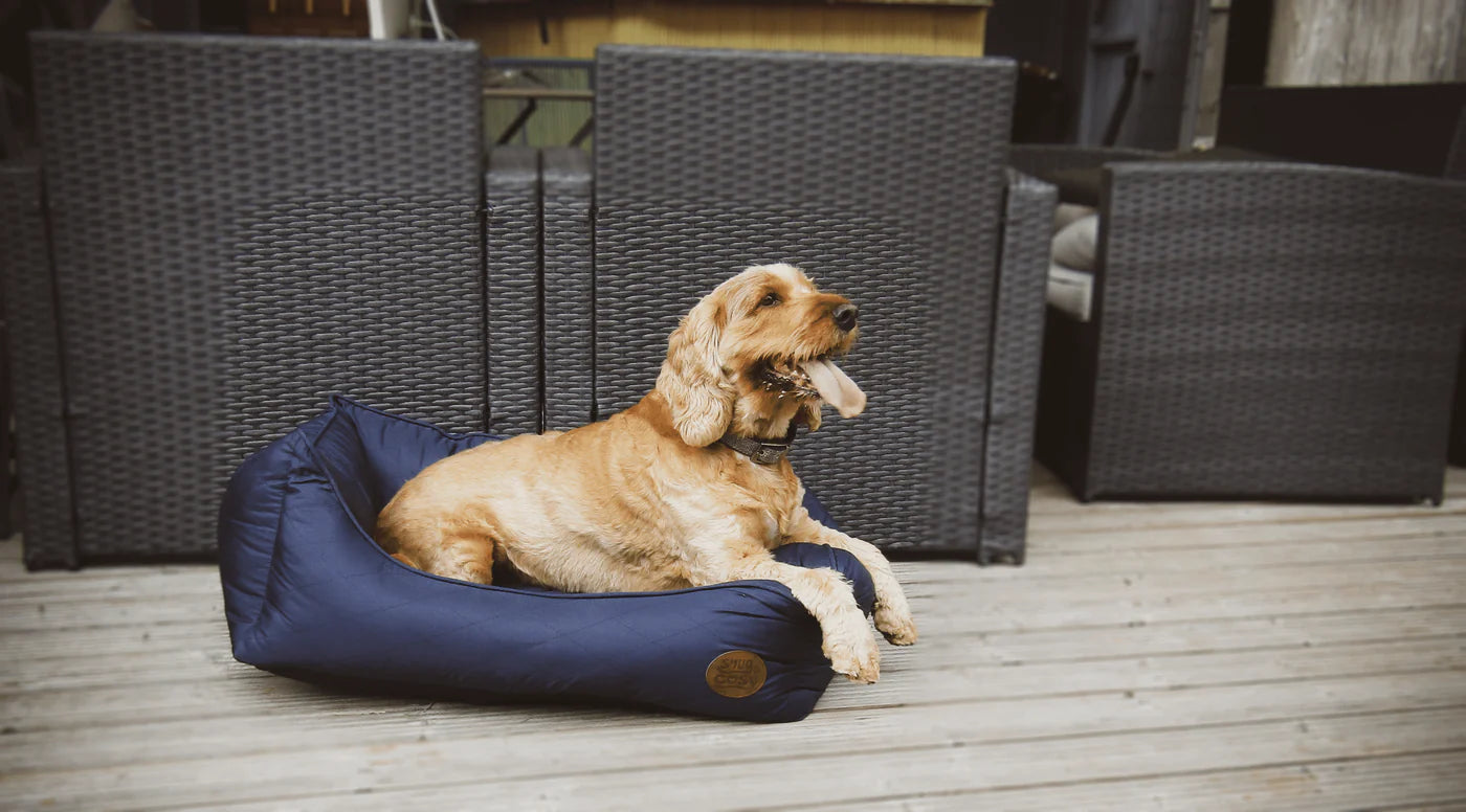 Pescara Dog Bed Navy