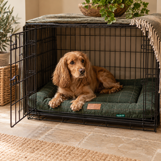 Cocker spaniel resting on the Green Tweed Crate Mat inside a black wire dog crate on a flagstone floor, with a wool throw draped over the top