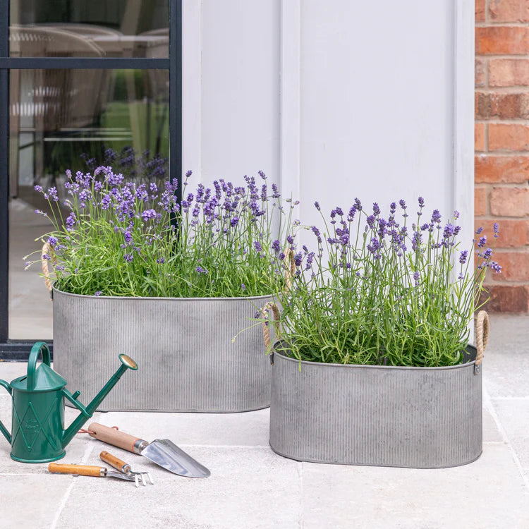 Galvanised Outdoor Troughs with Rope Handle - Set of Two