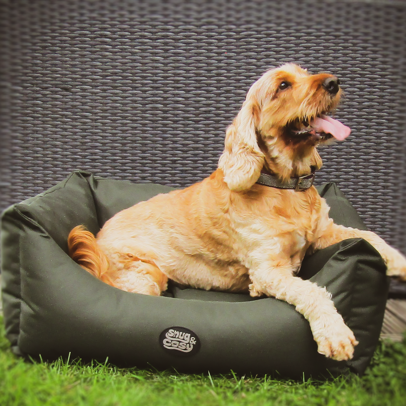 Pescara Dog Bed Green