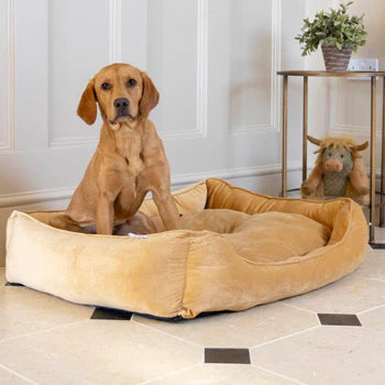 Velvet Dog Bed Mustard