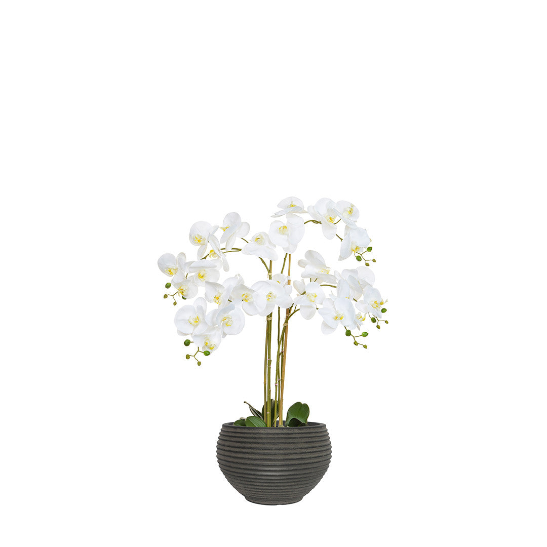 Artificial white orchid in a grey pot on a white background
