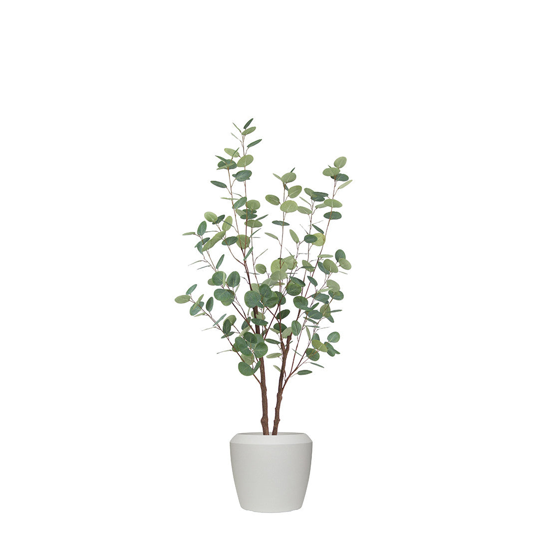 Artificial eucalyptus plant in a white pot on a white background
