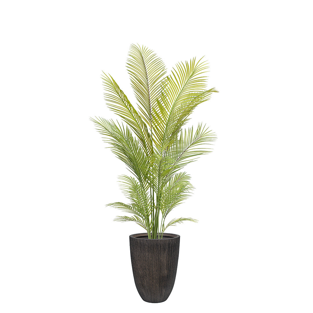 Artificial areca palm tree in a rustic pot on a white background