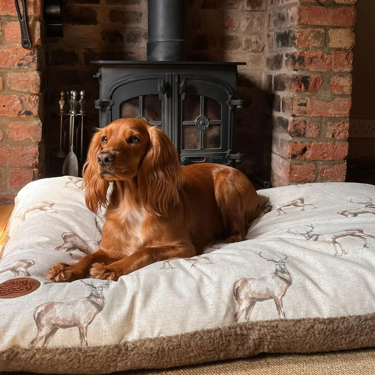 Loungers, Cushions & Mats