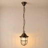 Bronze pendant light with clear glass shade on a neutral background