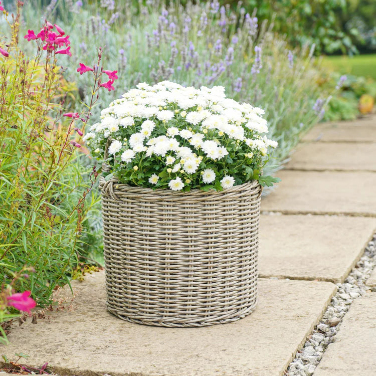 Polyrattan Natural Lined Planters - Set of Two