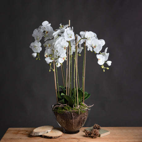 Large White Orchid in glass pot, artificial flower