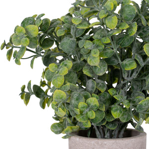 Artificial Eucalyptus Plant In Stone Effect Pot