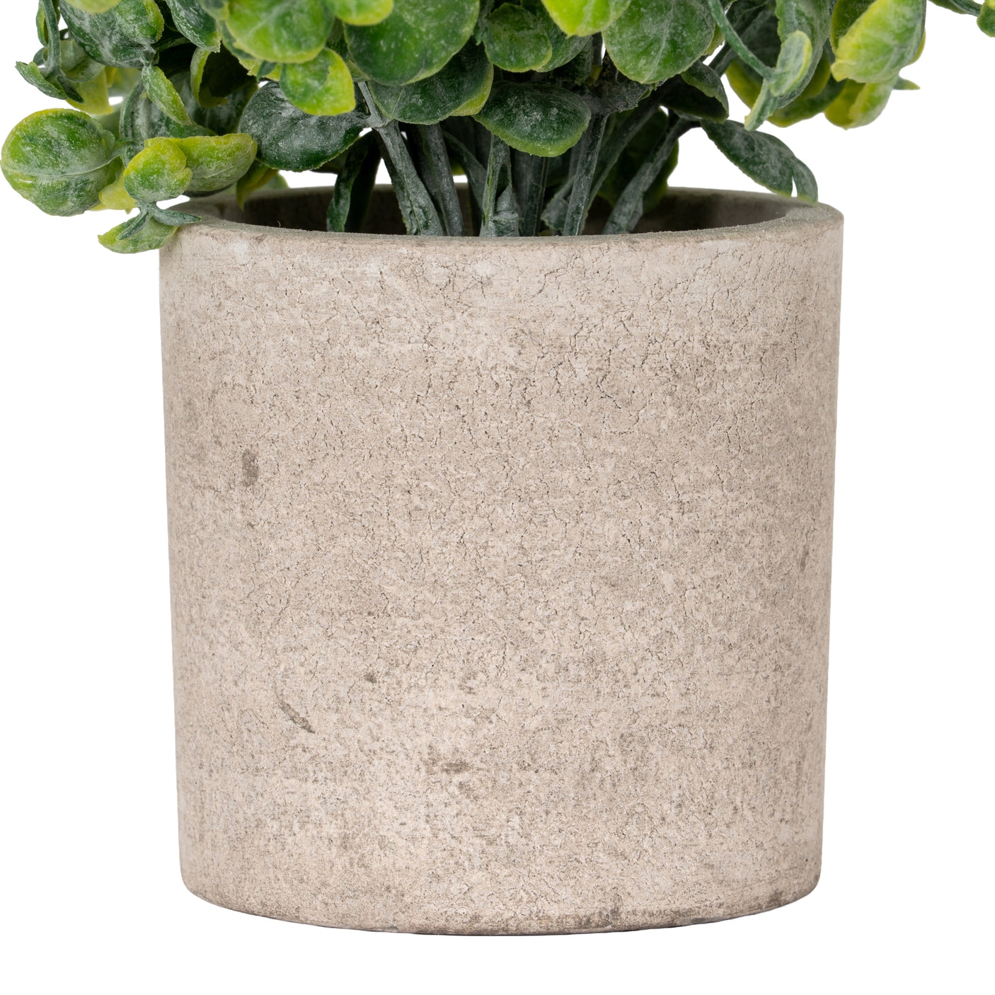 Artificial Eucalyptus Plant In Stone Effect Pot