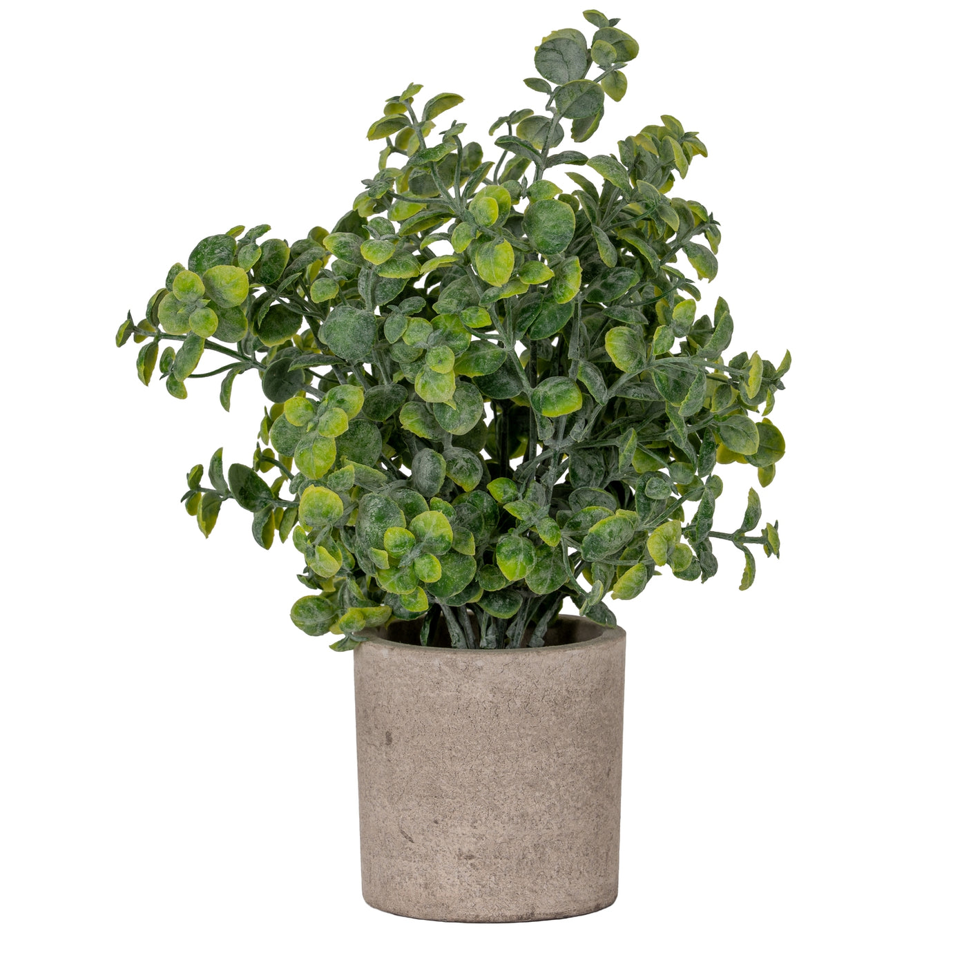 Artificial Eucalyptus Plant In Stone Effect Pot