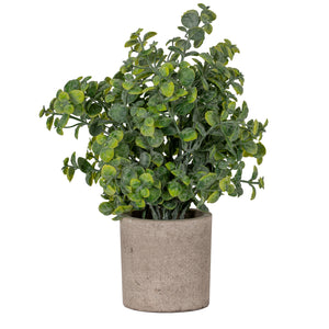 Artificial Eucalyptus Plant In Stone Effect Pot