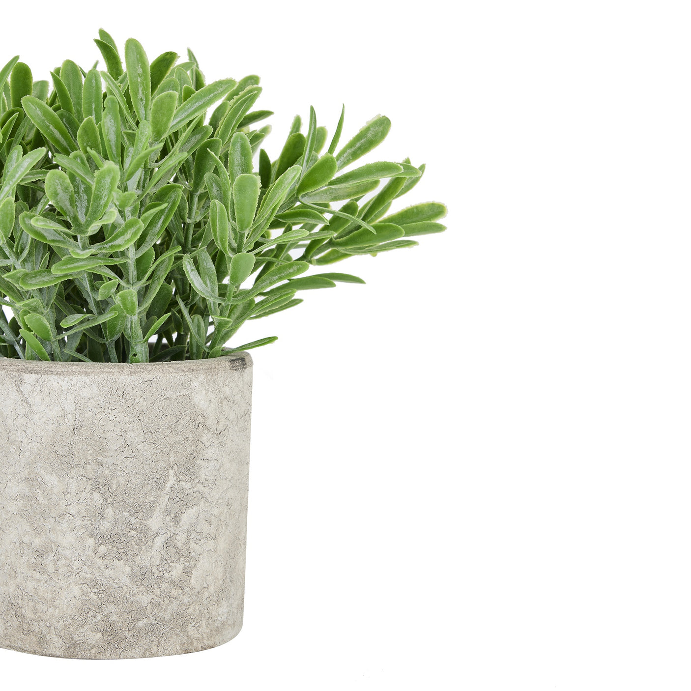 Artificial Buxus Plant In Stone Effect Pot