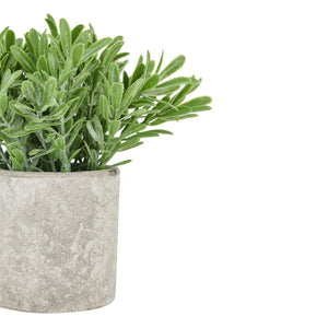 Artificial Buxus Plant In Stone Effect Pot