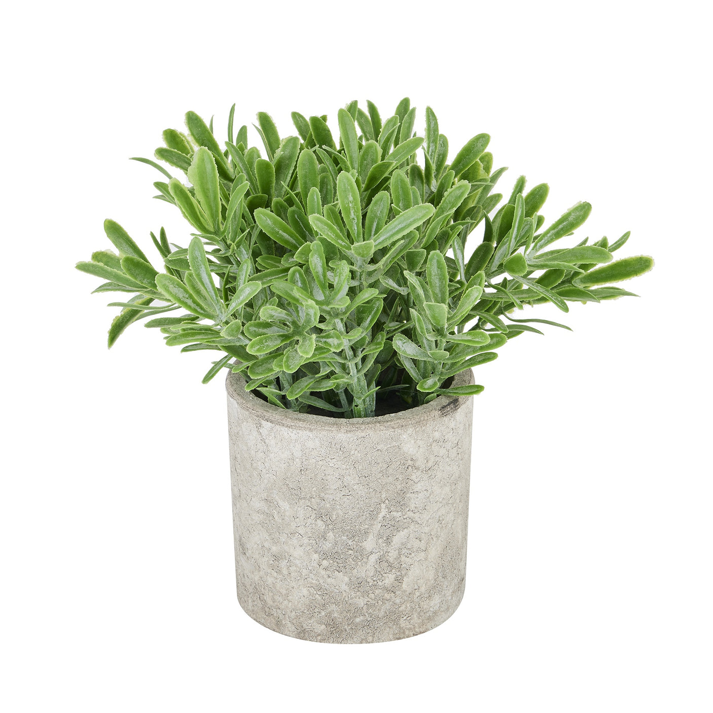 Artificial Buxus Plant In Stone Effect Pot