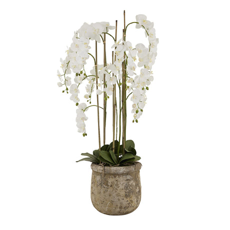 Large White Orchid in antique stone pot, artificial plant