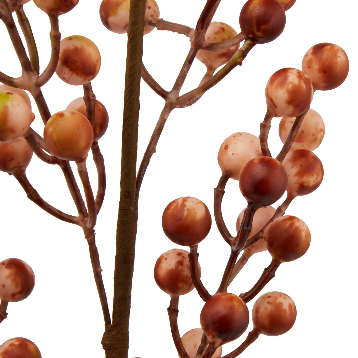 Large Autumn Branch