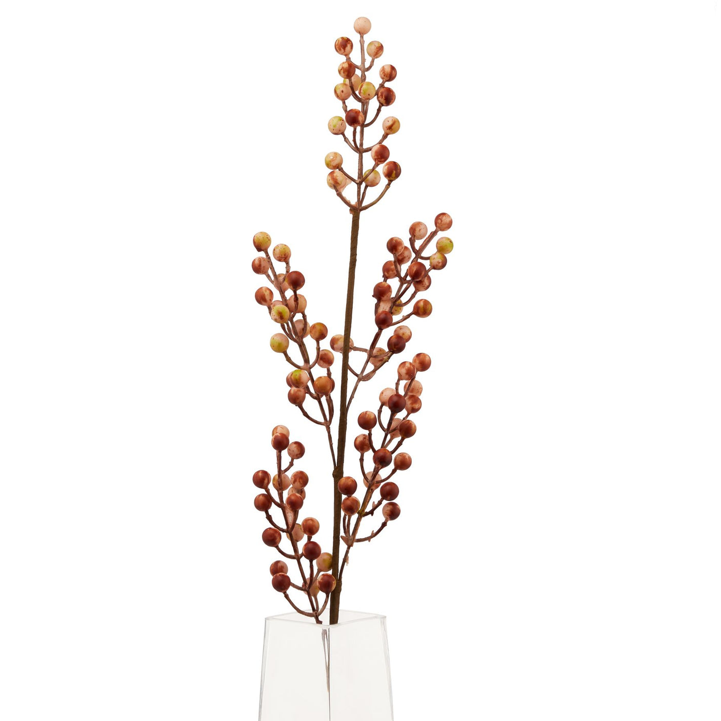 Large Autumn Branch