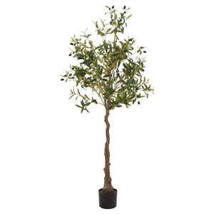 Calabria Olive Tree, faux olive tree