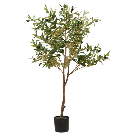 Calabria Small Olive Tree, decorative tree