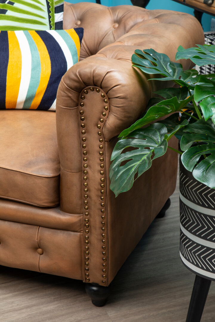 Nuvia Elora Stripes Design Cushion