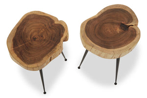 Foundry Set of 2 Acacia Wood Side Tables