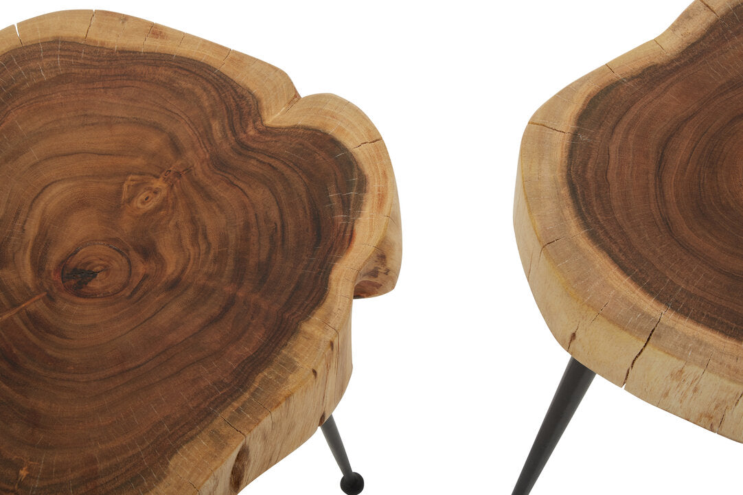 Foundry Set of 2 Acacia Wood Side Tables