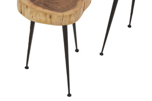 Foundry Set of 2 Acacia Wood Side Tables