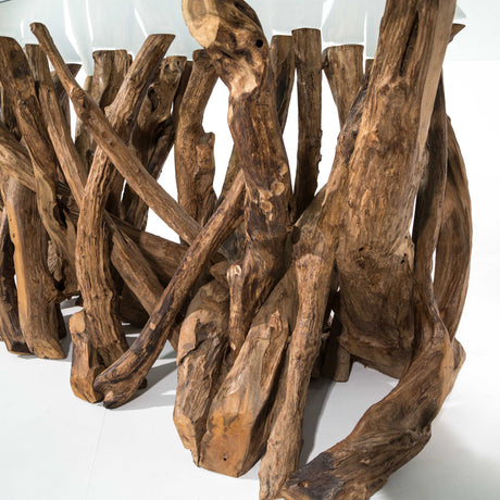 Teak tree root table base on a white background