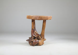 Teak Root Accent Table