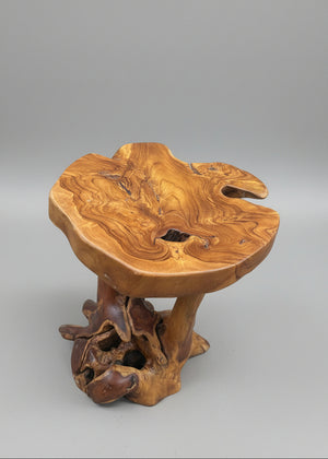 Teak Root Accent Table