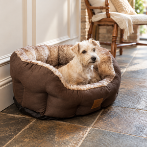 White terrier in the Arctic Fox Snuggle Oval Dog Bed, with brown suede-effect sides and a faux fur lining, on a flagstone floor