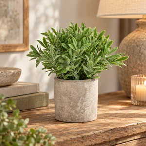 Artificial Buxus Plant in a stone-effect pot on a wooden sideboard beside books, a lit candle and a table lamp