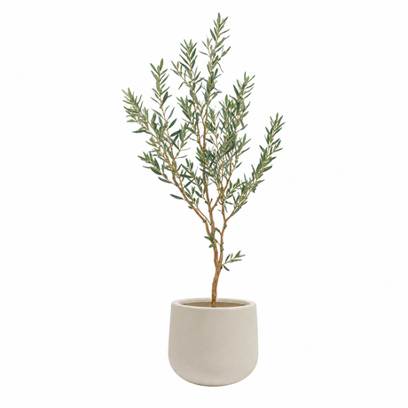Artificial olive tree in a cream planter on a white background