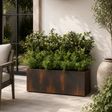 Rust-colored metal planter with green plants on a patio