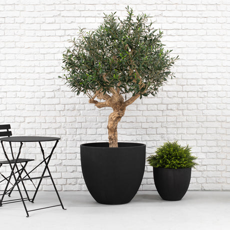 Two potted plants in black pots against a white brick wall with a black metal table.