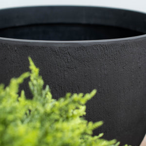 Close-up of a black planter with greenery in the foreground