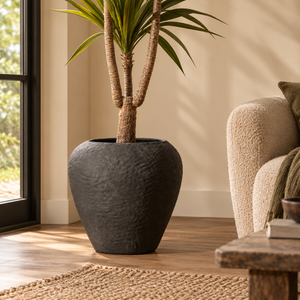 Avara Cotton Mache Large Black Planter holding a tall plant on a wooden floor by a window, beside a cream boucle armchair and a jute rug