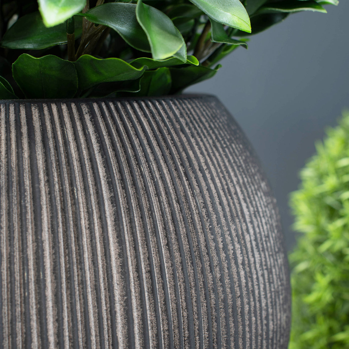 Textured brown pot with green plant against a dark background