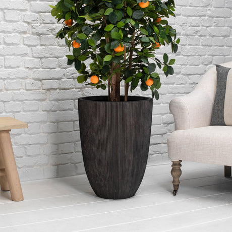 Potted plant with oranges in a dark pot against a white brick wall with a chair and stool.