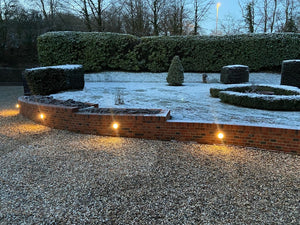 Marina Guard Circular Bulkhead Outdoor Wall Light