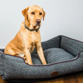 Edinburgh Tweed Dog Bed