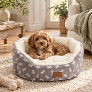 Cockapoo puppy sitting in the Grey Fleece Bone Print Oval Snuggle Puppy Bed on a cream rug, with a rope bone toy and a wooden coffee table